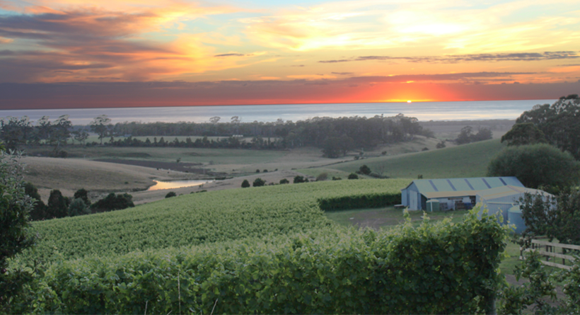 Cape Bernier Vineyard estate